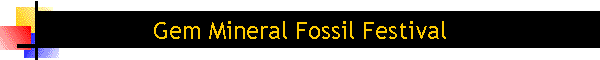 Gem Mineral Fossil Festival